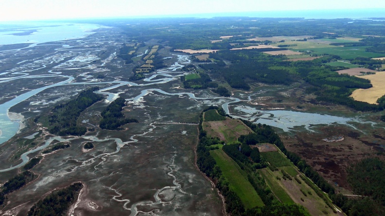 PhillipsCreek6 - PhillipsCreek6.jpg PhillipsCreek6.jpg