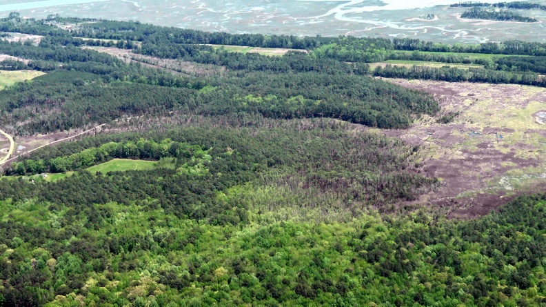 PhillipsCreek1 - PhillipsCreek1.jpg PhillipsCreek1.jpg