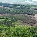 PhillipsCreek1