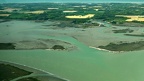 OysterA1