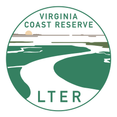 VCR.LTER.logo.color.knockout