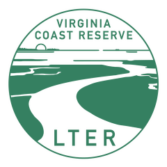 VCR.LTER.logo.green.knockout