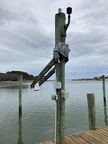 OysterTideBad2