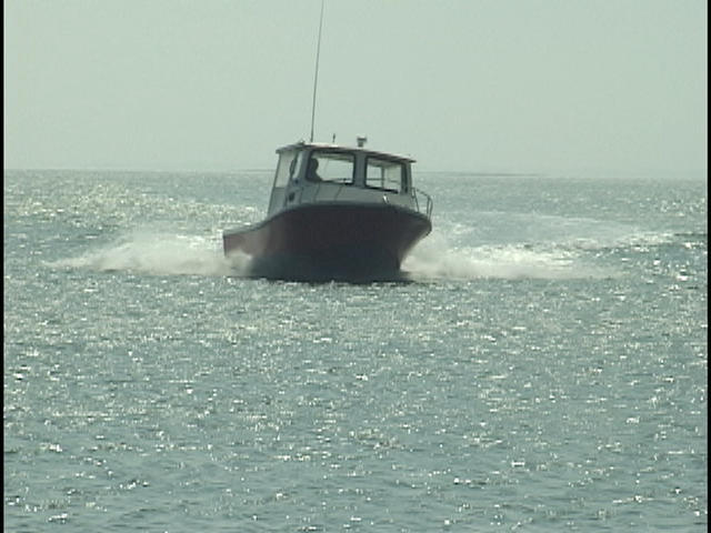 pict0528.jpg