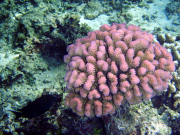 P7120184.jpg