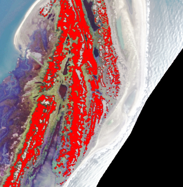 hogisland082201 probe2 remap noblanks northend shrubmodel derived from probe2 overlaid