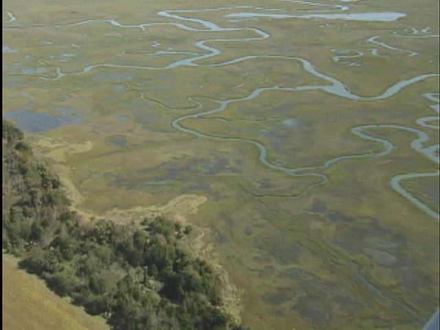 metomkin_mainland_marsh1.jpg