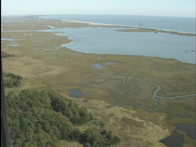 metomkin mainland marsh2