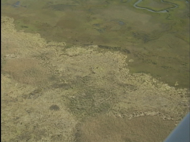 metomkin mainland marsh4 - metomkin_mainland_marsh4.jpg metomkin_mainland_marsh4.jpg