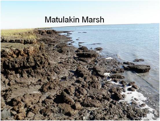 Matulakin Marsh