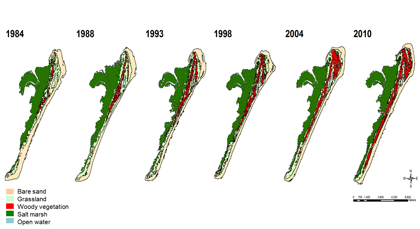 Maps of shrub change